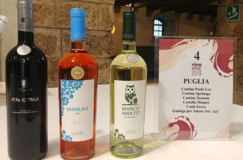cantine-spelonga-vinoway-wine-selection-2019